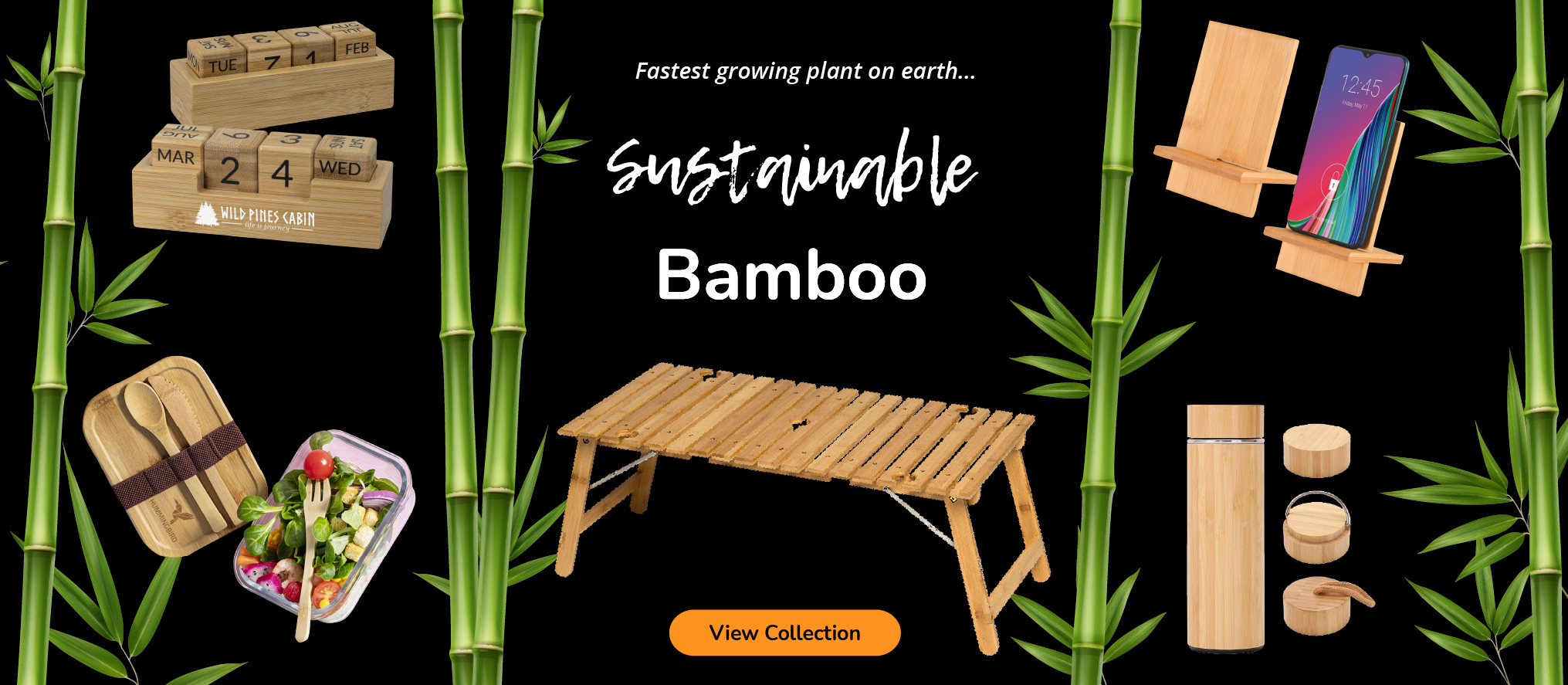 Sustainable Bamboo
