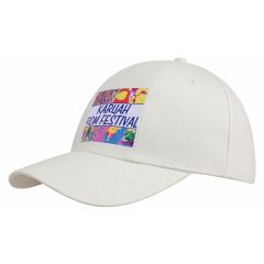 Brushed Heavy Cotton Pro-Rotated Cap