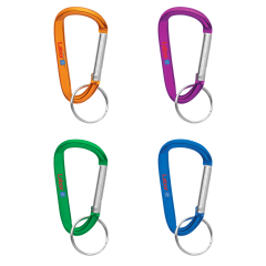 Coloured Carabiner