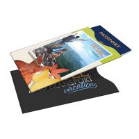 Passport Safety Sleeve