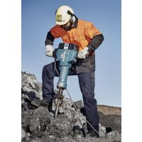 Mens Basic Cargo Pant (Stout)