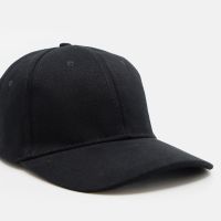 Value 6 Panel Brushed Cotton Cap