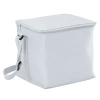 Small Cooler Bag