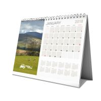 Premium Extra Large Desk Calendar
