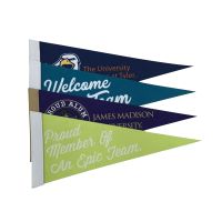 30cm Felt Pennants