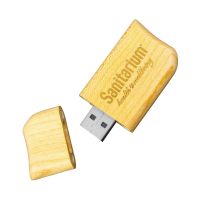 USB Wood Eco Drive 1