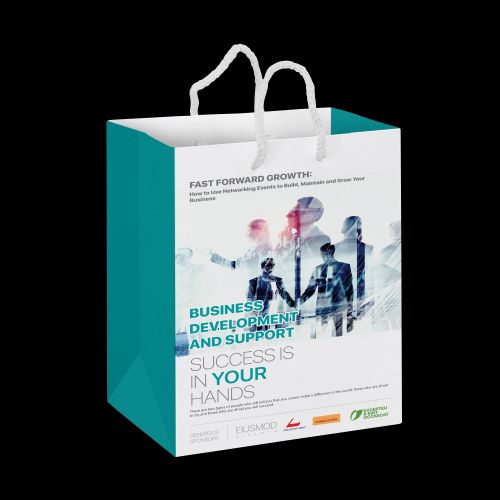 Medium Laminated Paper Carry Bag Full Colour