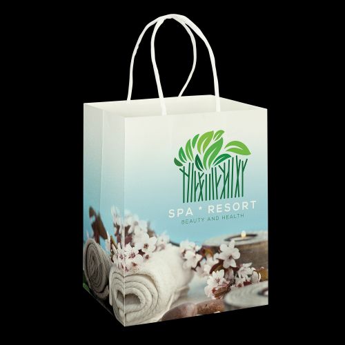 Large Paper Carry Bag - Full Colour