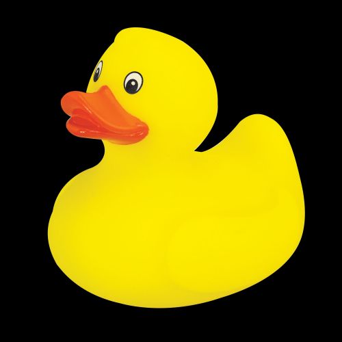 Rubber Duck