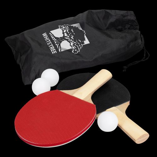 Portable Table Tennis Set