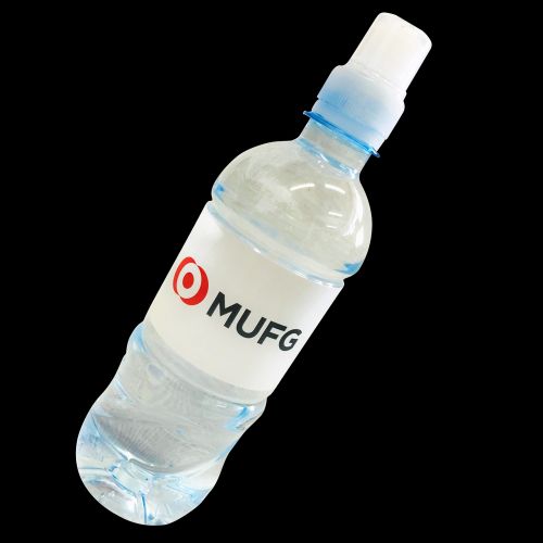 Branded Water 500ml