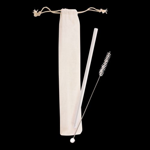 Glass Straw & Brush Set