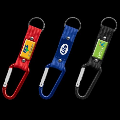 Carabiner Key Ring