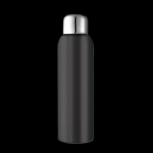 Guzzle Stainless Sports Bottle