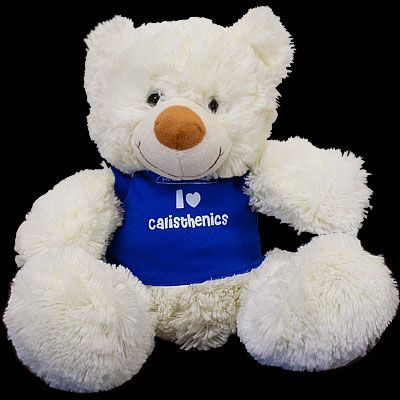 Promotional Plush Teddy Bear