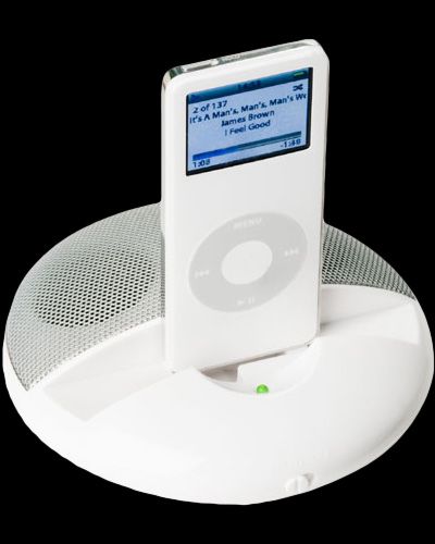 Portable iPod Speaker