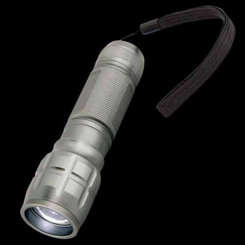 Discovery Torch