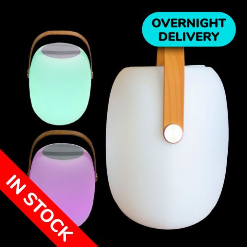 LED Colour Changing Speaker