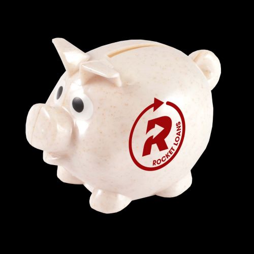 World's Smallest Pig Eco Coin Bank