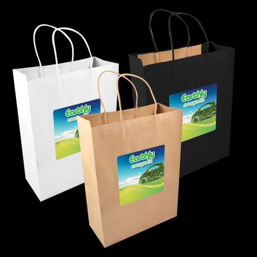 Express Paper Bag - Large 