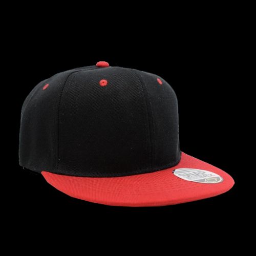 Snapback 2 Tone