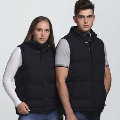 15844_sijpv