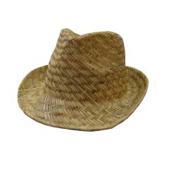 Fedora Straw Hat